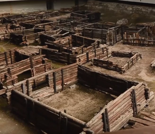 «1000 музеяў Беларусі» — «Бярэсце» (Відэа) Бярэсце, археалагічны музей, Брэст